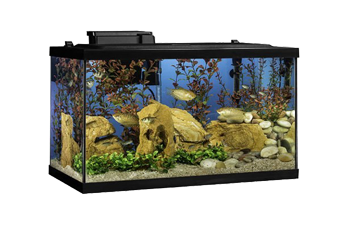 Aquarium Fish Tank Cleaning