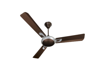 Ceiling Fan Repair