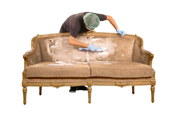 Couch Dry Cleaning