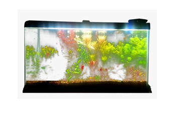 Fish Aquarium Installation
