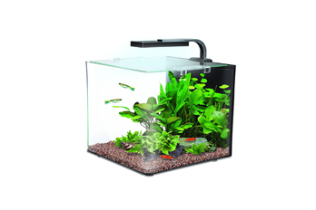 Fish Pond Filter Cleaning