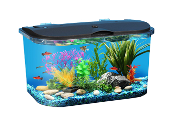 Fish Tank Cleaning