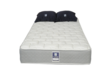 Mattress Shampooing